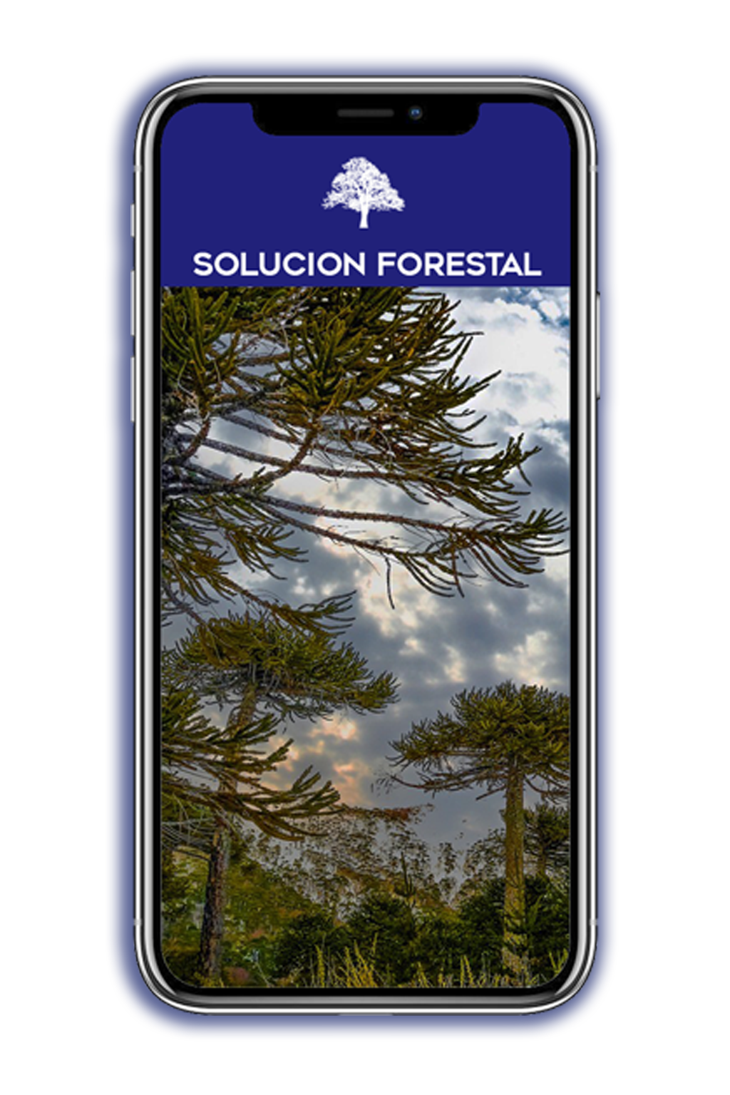 forestalservidor